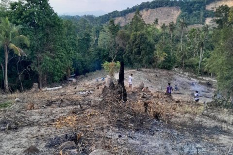 Terrain à Ko Samui, Thaïlande 11200 m2 № 155848 - photo 2