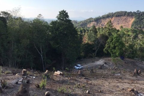 Terrain à Ko Samui, Thaïlande 11200 m2 № 155848 - photo 6