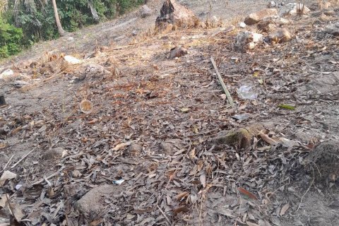 Terrain à Ko Samui, Thaïlande 11200 m2 № 155848 - photo 3