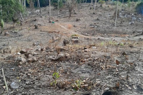 Terrain à Ko Samui, Thaïlande 11200 m2 № 155848 - photo 1