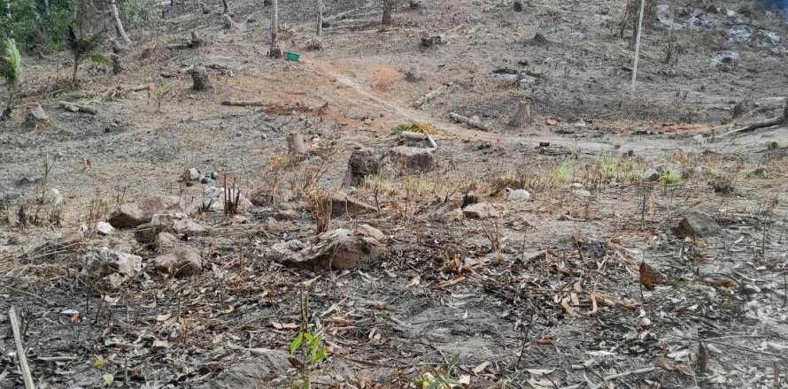 Terrain à Ko Samui, Thaïlande 11200 m2 № 155848