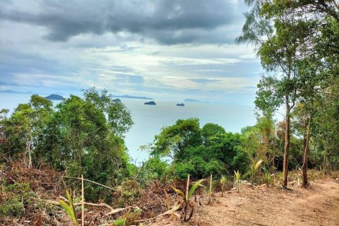 Земельный участок в Самуи, Таиланд 38400м2  № 155847 - фото 4