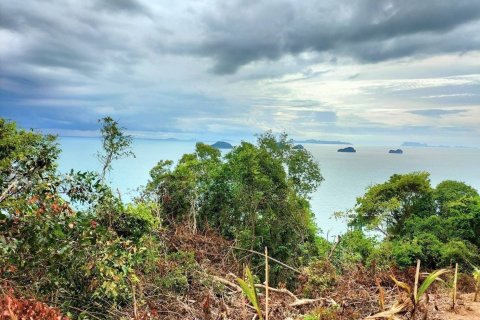 Земельный участок в Самуи, Таиланд 38400м2  № 155847 - фото 1