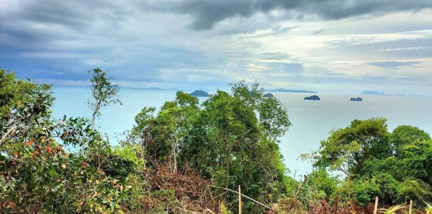 Земельный участок в Самуи, Таиланд 38400м2  № 155847