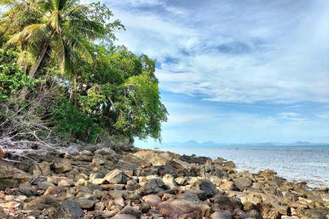 Земельный участок в Самуи, Таиланд 38400м2  № 155847 - фото 2