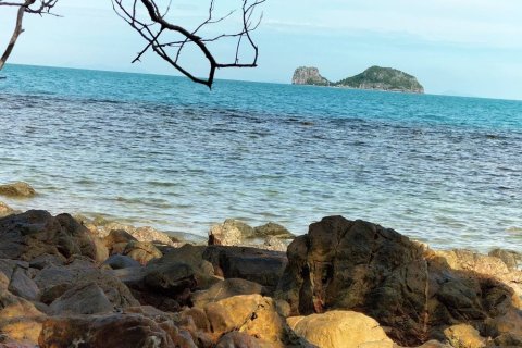 Земельный участок в Самуи, Таиланд 38400м2  № 155847 - фото 3