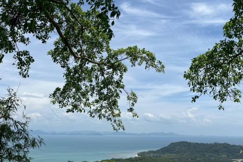 Земельный участок в Самуи, Таиланд 36000м2  № 155846 - фото 5