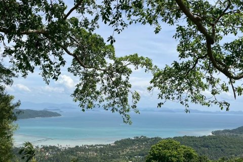 Земельный участок в Самуи, Таиланд 36000м2  № 155846 - фото 3