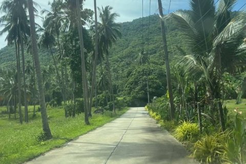 Земельный участок в Самуи, Таиланд 36000м2  № 155846 - фото 8