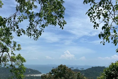 Земельный участок в Самуи, Таиланд 36000м2  № 155846 - фото 4