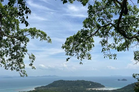 Земельный участок в Самуи, Таиланд 36000м2  № 155846 - фото 6