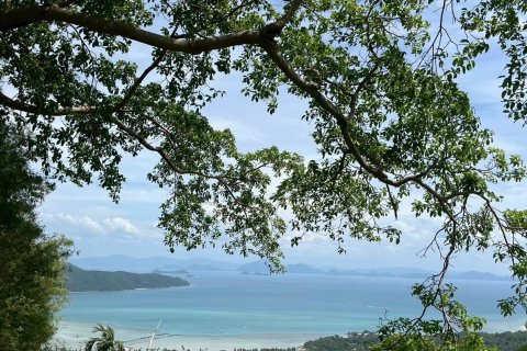 Земельный участок в Самуи, Таиланд 36000м2  № 155846 - фото 7