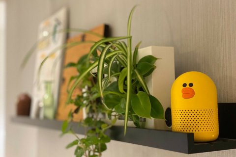 Studio dans le Condo à Watthana, Bangkok, Thaïlande  № 158457 - photo 10