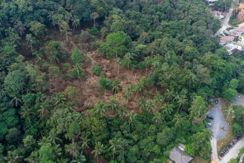 Terrain à Ko Samui, Thaïlande 11200 m2 № 152994 - photo 3