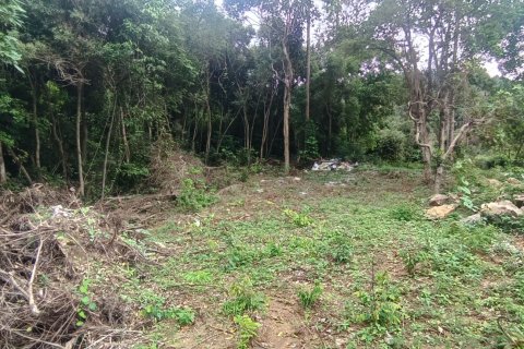 Земельный участок в Самуи, Таиланд 3200м2  № 152988 - фото 3