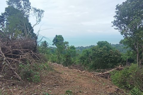 Земельный участок в Самуи, Таиланд 3200м2  № 152988 - фото 2