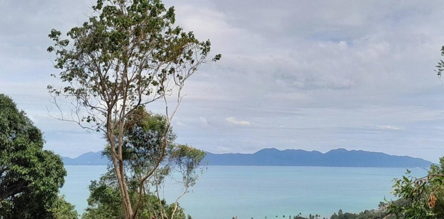 Земельный участок в Самуи, Таиланд 3200м2  № 152988