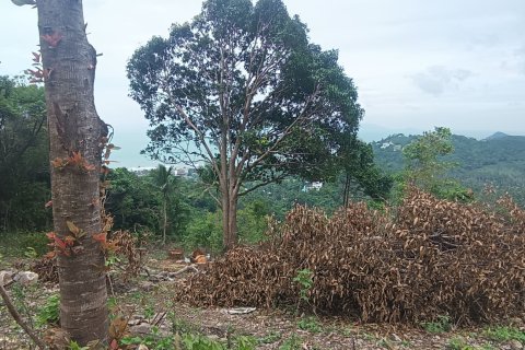 Земельный участок в Самуи, Таиланд 3200м2  № 152988 - фото 5
