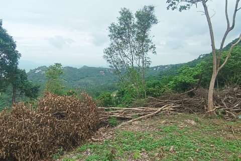 Земельный участок в Самуи, Таиланд 3200м2  № 152988 - фото 6