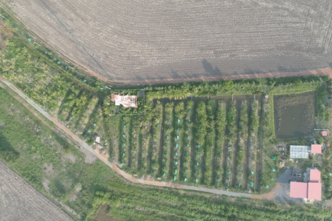 Terrain à Chachoengsao, Thaïlande 14400 m2 № 152991 - photo 2