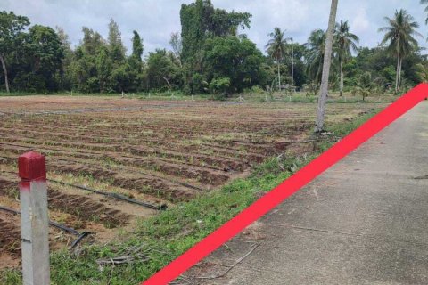Land in Mai Khao, Thailand 5200 sq.m. № 152990 - photo 2