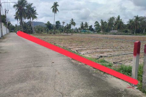 Land in Mai Khao, Thailand 5200 sq.m. № 152990 - photo 3