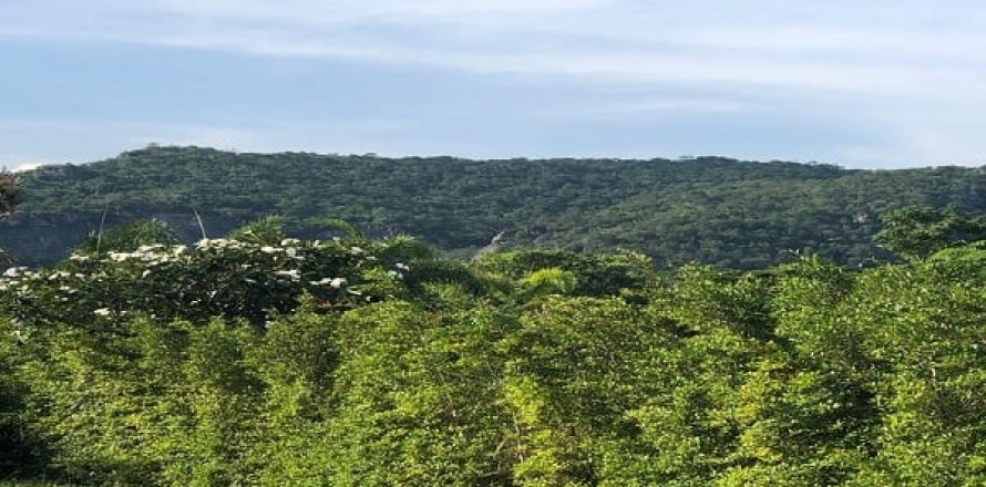 Terrain à Hua Hin, Thaïlande № 168446