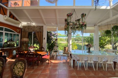 Propriété commerciale à Chiang Mai, Thaïlande 2000 m2 № 160064 - photo 16