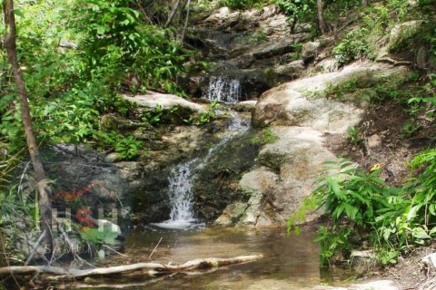Land in Ko Samui, Thailand 1087 sq.m. № 180051 - photo 17