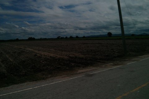 Land in Chai Nat, Thailand 286400 sq.m. № 151637 - photo 2