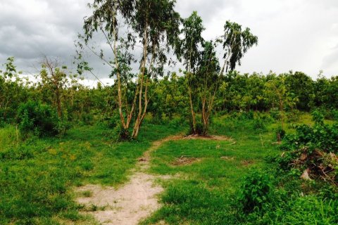 Terrain à Chai Nat, Thaïlande 286400 m2 № 151637 - photo 4