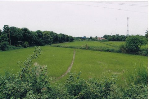 Земельный участок в Синг Бури, Таиланд 6400м2  № 151638 - фото 4