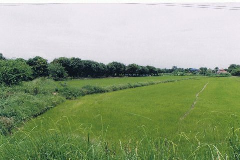 Земельный участок в Синг Бури, Таиланд 6400м2  № 151638 - фото 5