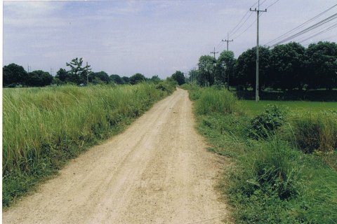 Земельный участок в Синг Бури, Таиланд 6400м2  № 151638 - фото 6