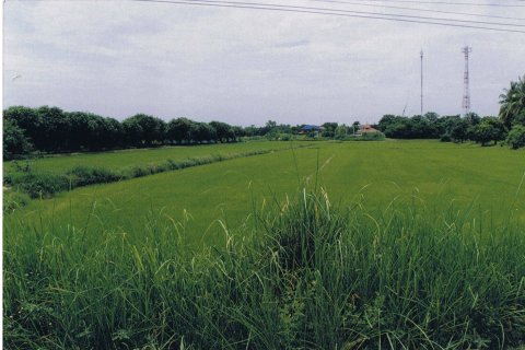 Земельный участок в Синг Бури, Таиланд 6400м2  № 151638 - фото 3