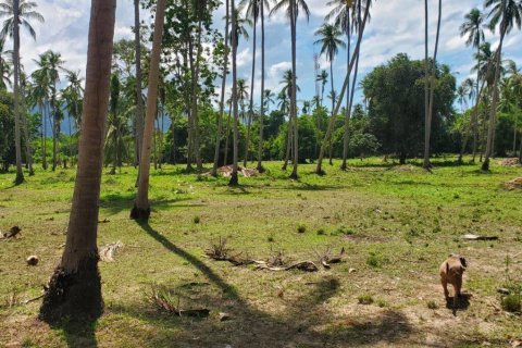 Land in Ko Samui, Thailand 33477 sq.m. № 179943 - photo 3
