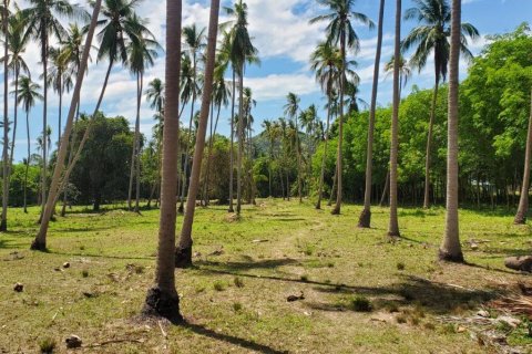 Land in Ko Samui, Thailand 33477 sq.m. № 179943 - photo 4