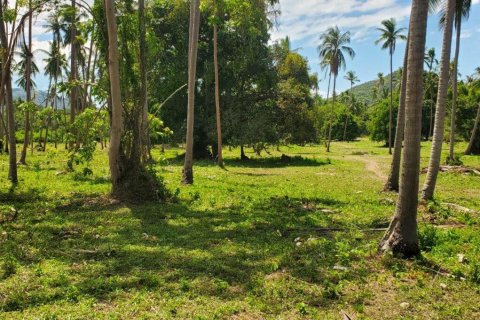 Land in Ko Samui, Thailand 33477 sq.m. № 179943 - photo 5
