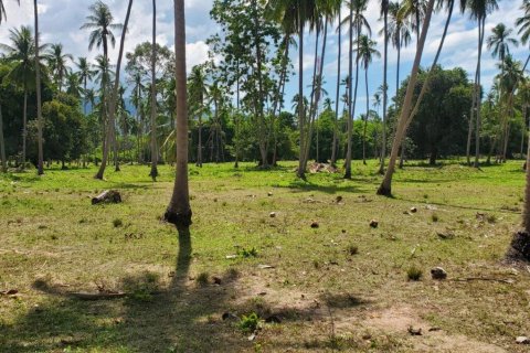 Land in Ko Samui, Thailand 33477 sq.m. № 179943 - photo 2