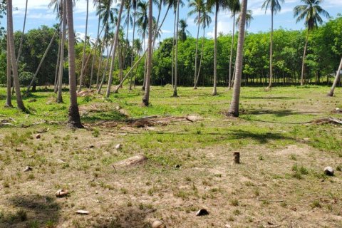 Land in Ko Samui, Thailand 33477 sq.m. № 179943 - photo 6