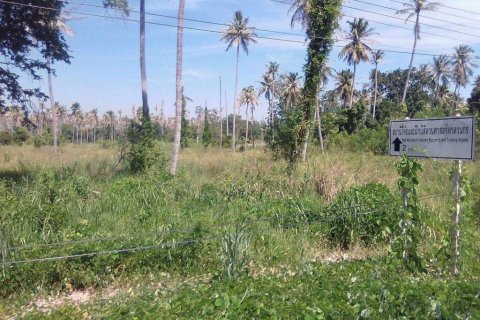 Terrain à Prachuap Khiri Khan, Thaïlande № 119117 - photo 6