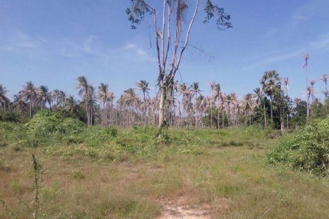 Terrain à Prachuap Khiri Khan, Thaïlande № 119117 - photo 5