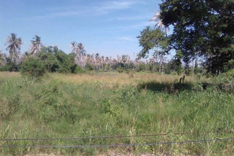 Terrain à Prachuap Khiri Khan, Thaïlande № 119117 - photo 4