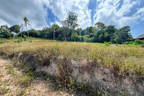 Land in Ko Samui, Thailand 800 sq.m. № 153992 - photo 7