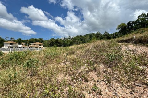 Land in Ko Samui, Thailand 800 sq.m. № 153992 - photo 3