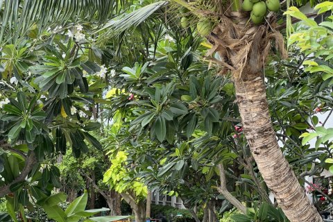 Condo in Pattaya, Thailand, 2 bedrooms  № 147730 - photo 26