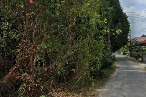 Terrain à Phuket, Thaïlande 777 m2 № 154809 - photo 4