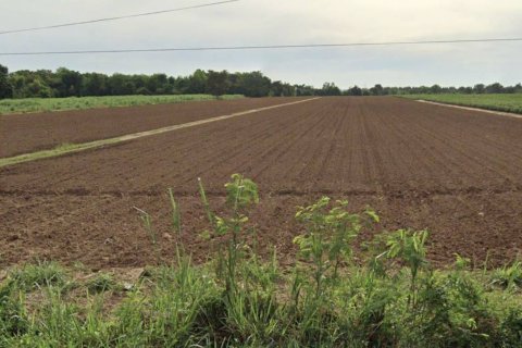 Terrain à Chok Chai, Thaïlande 43200 m2 № 154813 - photo 2