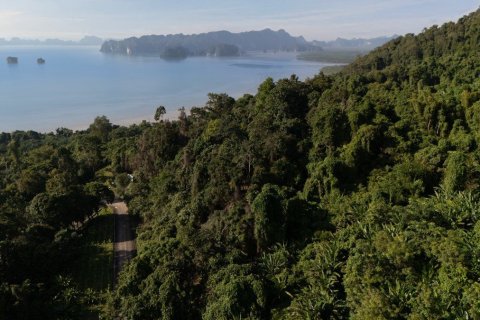 Земельный участок в Краби, Таиланд 14720м2  № 152090 - фото 5