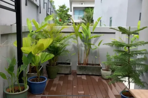 House in Phuket, Thailand 3 bedrooms № 169327 - photo 12